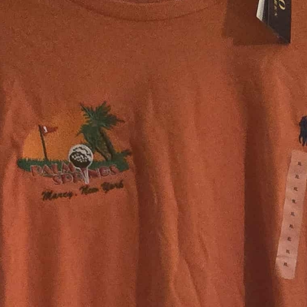 Polo by Ralph Lauren Orange Long Sleeve Shirt - Picture 4 of 6